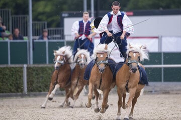 100 Jahre Hengstparade: Moritzburg feiert tierisches Jubiläum