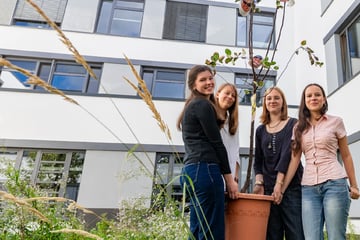 Dresden: Nur 14 von 148 Schulen wollen Energie sparen: Projekt soll Klima-Muffel werben