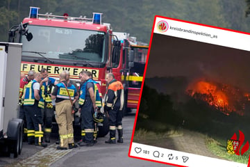 Waldbrand in der Oberpfalz: Vier Feuerwehrleute verletzt