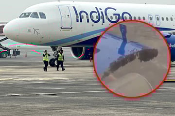 Flugzeug bereit zum Abheben, doch dann sorgen winzige Tiere für Chaos