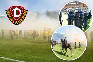 Sechsstellig! Dynamo für Aufstiegsparty in Mannheim hart bestraft