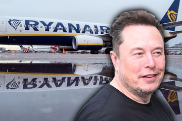 Elon Musk will Ryanair kaufen: Irgendein Ryan soll neuer Chef werden