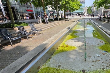 Dresden: Öl-Attacke auf Dresdner Brunnen: Reinigungskosten reißen Loch ins Stadt-Portemonnaie