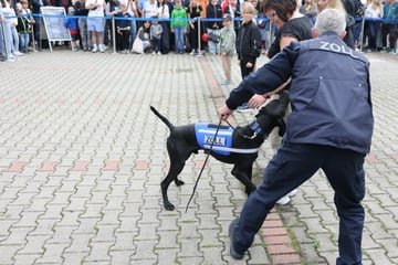 Leipzig: Schmugglertricks und Reisetipps: Zoll feiert Jubiläum in Leipzig