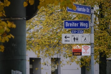 Stadtkern, Neustadt, Herrenkrug: Diese neuen Baustellen stehen in Magdeburg an