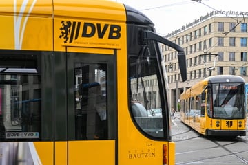 Neue Bauarbeiten in Dresden: Diese DVB-Linien fahren ab Freitag anders!