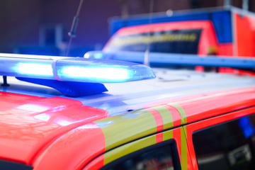 Baum stürzt auf Teenager: Zwei Jugendliche schwer verletzt