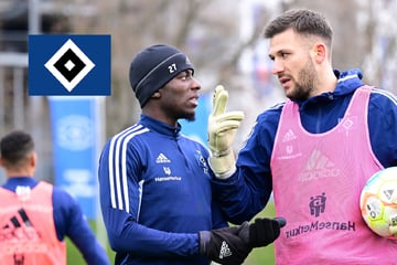 HSV-Blog: Heuer Fernandes und Dompé in der Elf des Tages