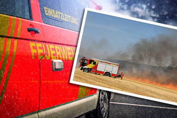 Fläche von mehreren Fußballfeldern in Flammen: Landwirte helfen beim Löschen