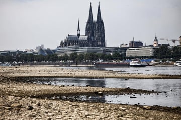 Köln: Neues Rekordtief: Rhein in Köln geht das Wasser aus