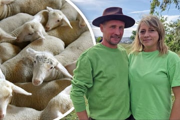 Magdeburger Gnadenhof steht nach Rettung von Inzucht-Tieren vor großem Problem