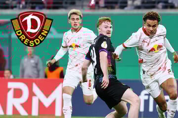 Dynamo-Dresden-Blog: SGD soll vor der Leihe dieses Bundesliga-Spielers stehen