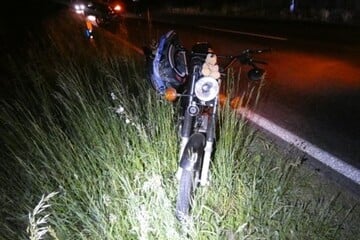 Hase rennt auf Straße: Jugendliche Mopedfahrer verletzten sich bei Unfall