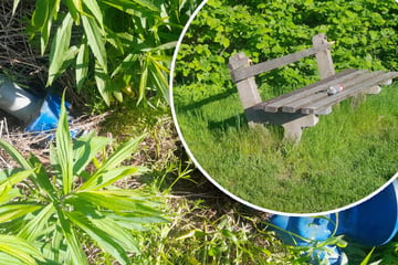 Bank beschädigt, Fernglas zerstört: Pfingst-Chaoten nehmen Aussichtspunkt im Erzgebirge auseinander