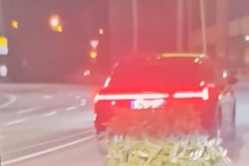 Diebe klauen Weihnachtsbaum und binden ihn am Auto fest: Das sorgte für Ärger!