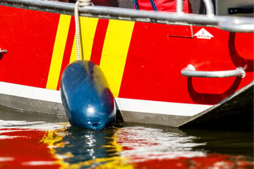Dramatische Szenen auf Rhein: Ruderboot mit vier Kindern plötzlich gekentert