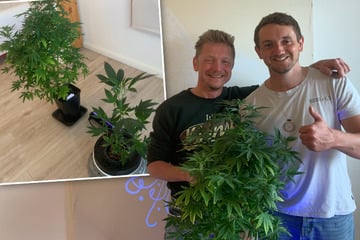 Leipzig: Cannabis Club will Leipzig mit "anregendem" Gras beliefern: "Interesse ist definitiv da"