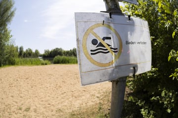 Berlin: Fäkal-Alarm am Spektesee: Gesundheitsamt warnt vor Baden!