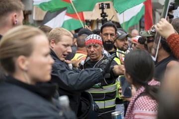 Hat Polizist Frau bei Pro-Palästina-Demo ins Gesicht geschlagen?