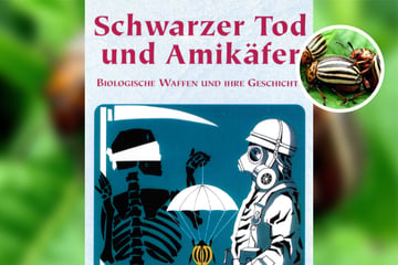 Heute vor 76 Jahren: Rätselhafte Käferplage - Was wirklich hinter dem Amikäfer steckte