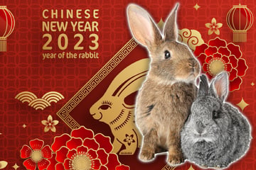 Chinesisches Tierkreiszeichen 2023: Was das Jahr des Wasser-Hasen zu bieten hat