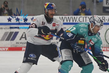 Wieder zurück in alte Muster! Eislöwen laden München ein