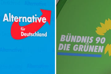 AfD und Grüne legen zu: Umfrage-Klatsche für SPD und CDU!