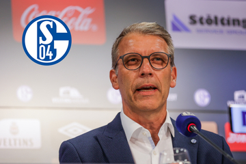 Schalke-Sportvorstand Knäbel hadert mit Video-Schiedsrichter