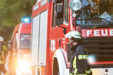 Feuerwehreinsatz im Harz: Waldstück am Königsberg steht in Flammen!