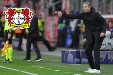 Hammer-Los für Bayer! Werkself muss gegen Ligaprimus der Champions League ran