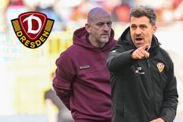 Startelf-Bastelei beim Dynamo-Gegner: Was sagt SGD-Coach Thomas Stamm dazu?
