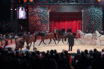 Dresden: Zugabe im Dresdner Weihnachts-Circus: An diesem Tag gibt es eine zusätzliche Show