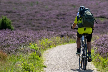 Petition will Lithiumabbau in der Altmark und Lüneburger Heide verhindern