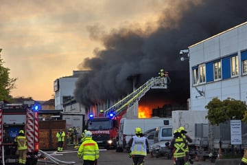 Dunkle Rauchwolke über Regensburg: Großbrand bei Schrotthandel