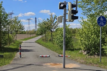 Frau fährt mit VW betrunken über Radweg und kracht gegen Ampel: Kind verletzt