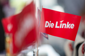 Nach Kinderporno-Skandal: Ex-Abgeordneter tritt aus der Linken aus