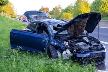 Unfall A1: Massencrash auf A1, vier Verletzte: Plötzlich sorgt ein schwangerer Hund für Wirbel