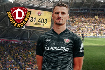 Eine Saison der Rekorde! Dynamo knackt die Millionen-Schallmauer