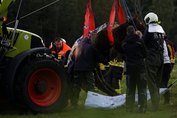 20 Feuerwehrleute retten Pferd aus Schlamm