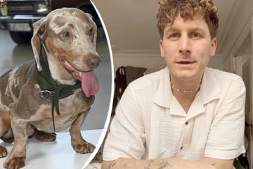 Malte Zierden: Malte Zierden warnt vor gefährlichem Trend: Influencer schlägt Alarm