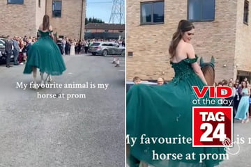 Viral Video of the Day for February 9, 2025: Girl rides horse to prom, but things take a messy twist