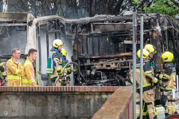 Großbrand vor den Toren Hamburgs: Ein Verletzter
