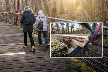 Marode Holzbrücke in Chemnitz: Stadt reagiert auf TAG24-Hinweis