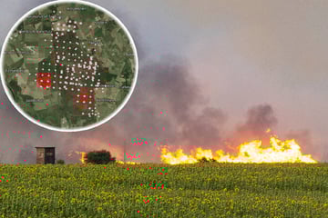 Waldbrand in der Gohrischheide: Katastrophenalarm ausgelöst