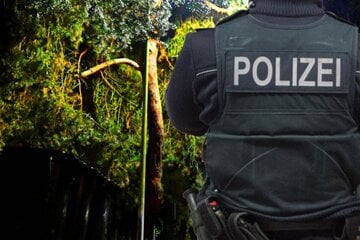 Skurrile Verfolgungsjagd in Mainz: 24-Jähriger versteckt sich in Gebüsch