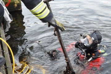 Hamburg: Zahlreiche illegal entsorgte Sachen aus der Alster gefischt