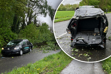 20-Meter-Baum stürzt auf fahrendes Auto: 62-Jähriger schwer verletzt