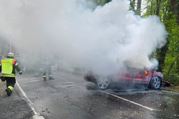 SUV prallt frontal gegen Baum: Fahrer stirbt in brennendem Auto