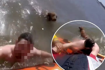 Mann und Hund gehen am Strand spazieren und werden von Flut ins Meer gespült