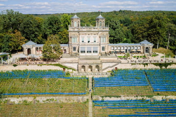 Dresden: Insolvenzantrag! "Lingnerterrassen" bleiben vorerst zu